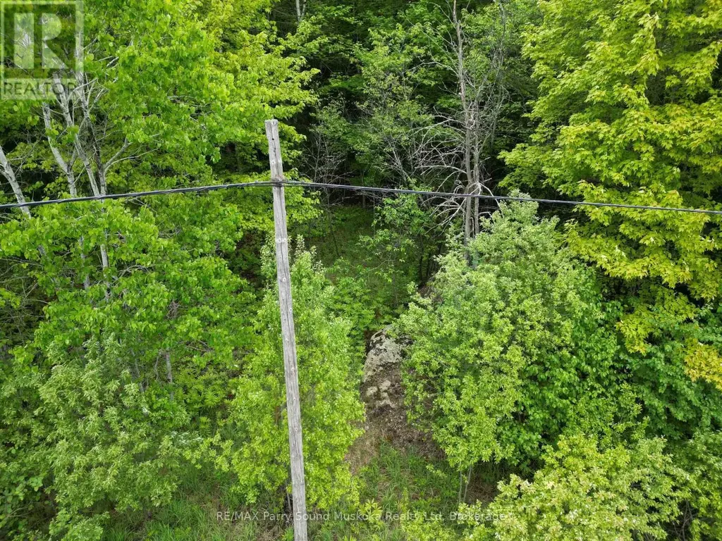 1-22342 East Road, Parry Sound Remote Area (East Mills)